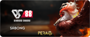 Cock Fight