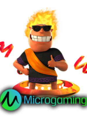 MicroGaming slot